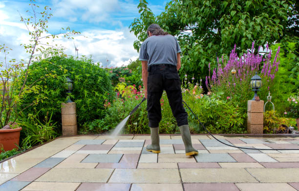Best Driveway Pressure Washing  in Copperas Cove, TX